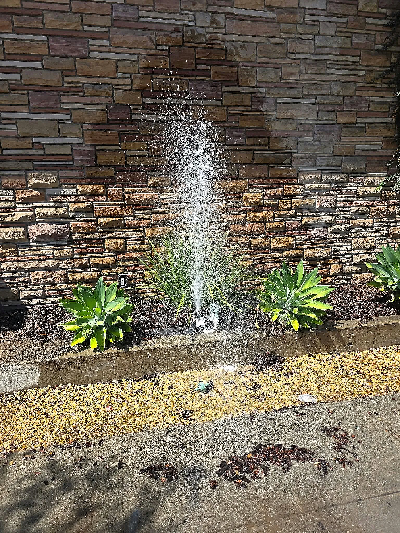 Water spraying from a broken irrigation line beside a stone wall