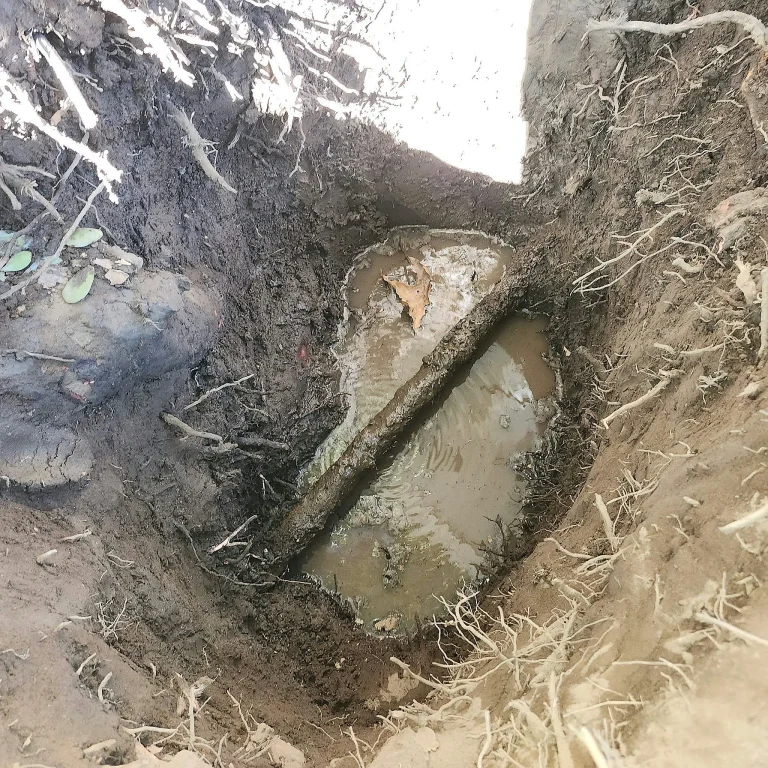 Excavated sewer lateral surrounded by soil and roots